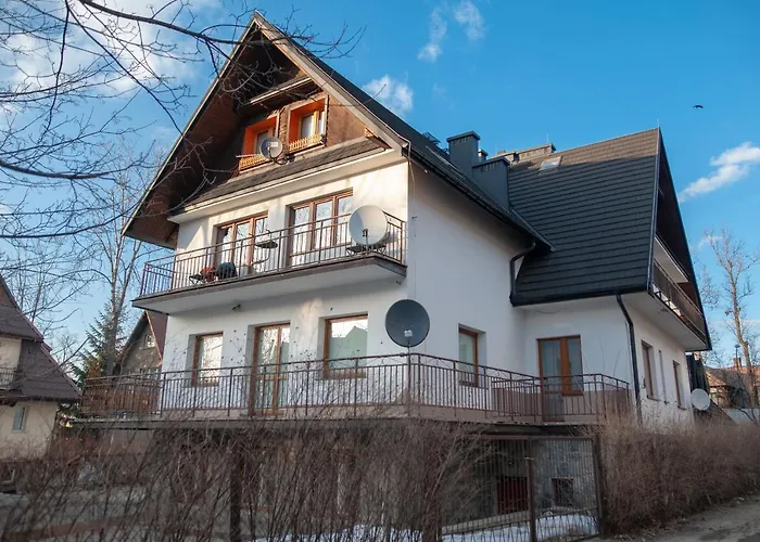 Ryś w Centrum APARTZAKOP